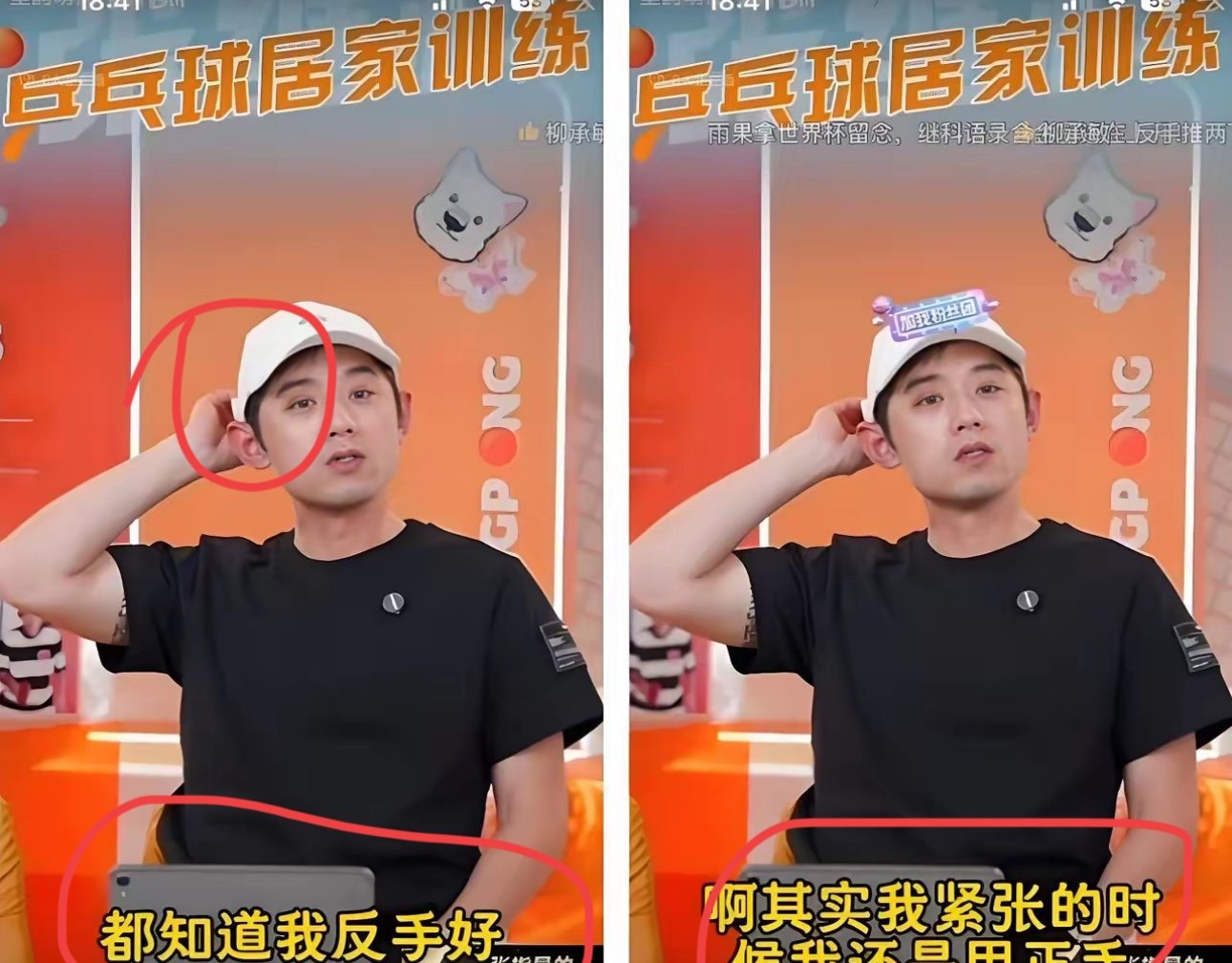 包含日本乒乓球队完胜奥地利乒乓球队，张继科完成帽子戏法的词条