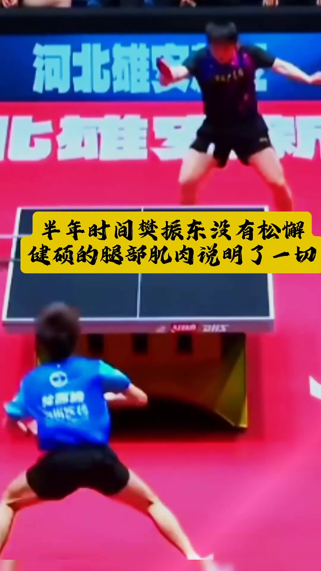 米兰体育app入口-波兰乒乓球队力克奥地利乒乓球队，樊振东制霸全场的简单介绍
