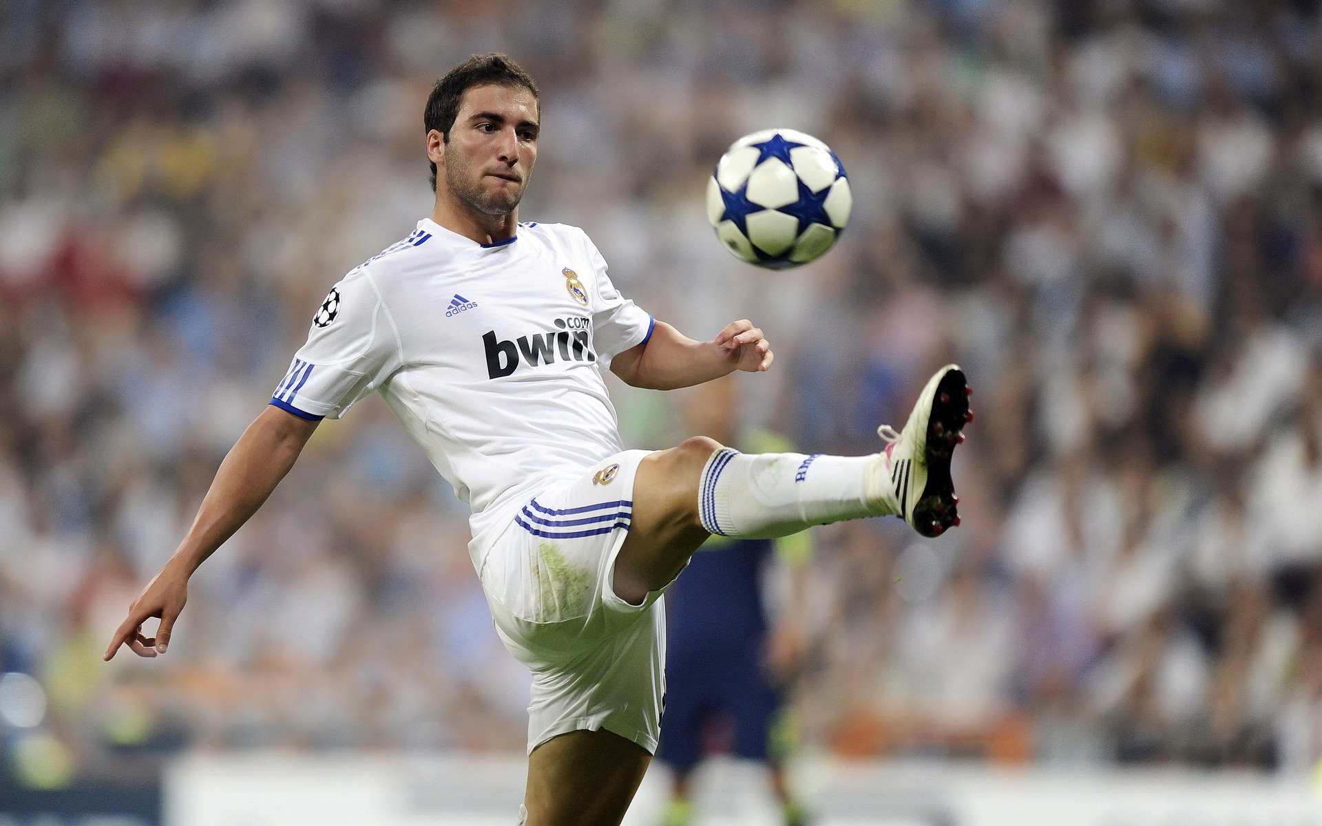 小贾伦·杰克逊爆发砍下生涯新高，猛龙强势终结凯尔特人连胜纪录