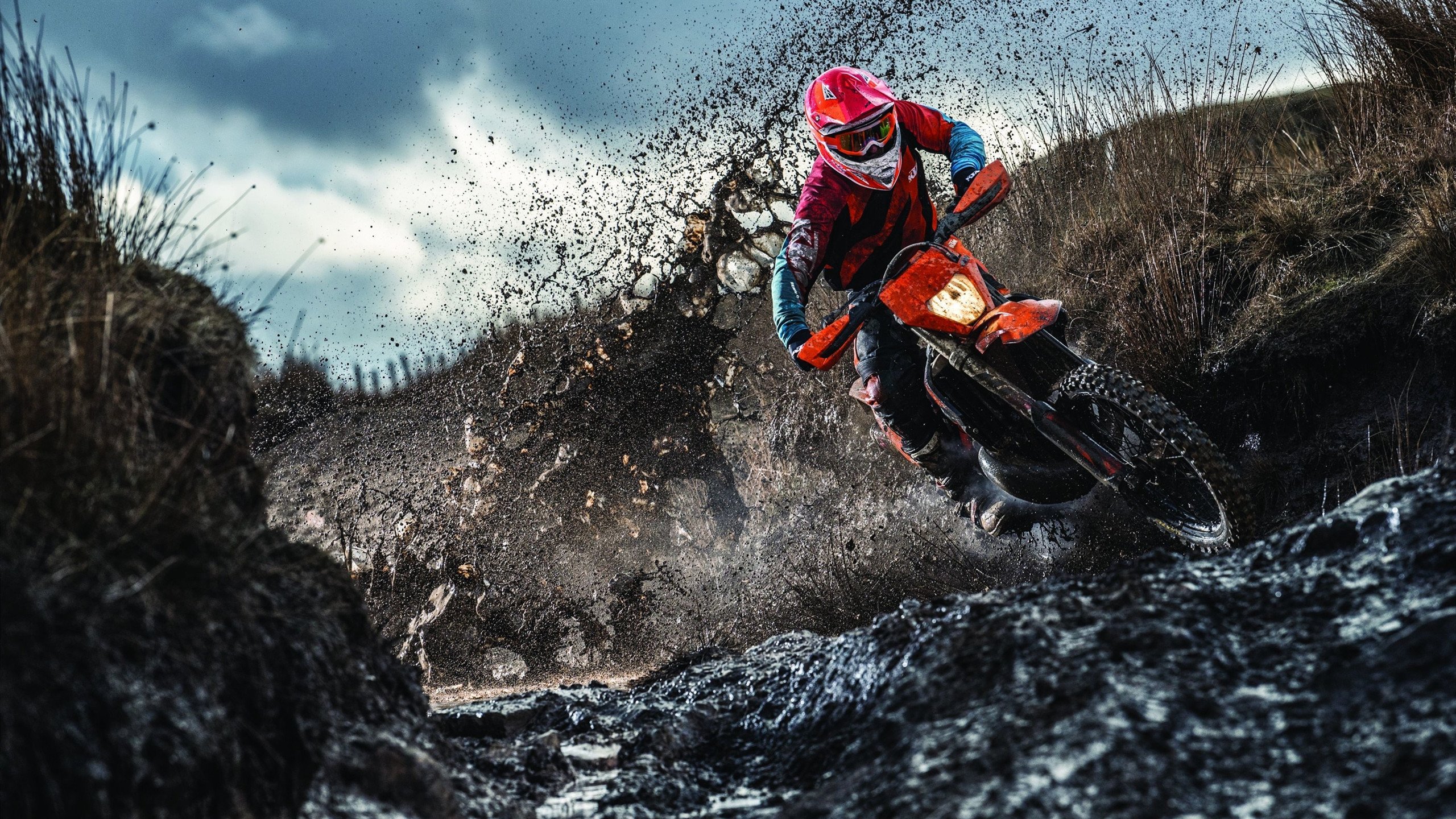 世界杯之夜，托尼统治全场